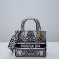 MC-Christian Dior-040