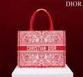 MC-Christian Dior-111
