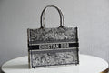 MC-Christian Dior-212
