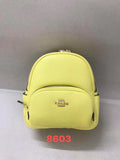 MC-Coach-020