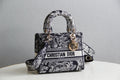 MC-Christian Dior-287