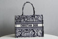 MC-Christian Dior-393
