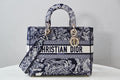 MC-Christian Dior-411