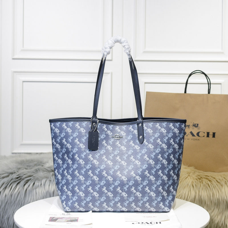 MC-Coach-042