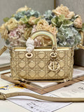 MC-Christian Dior-488