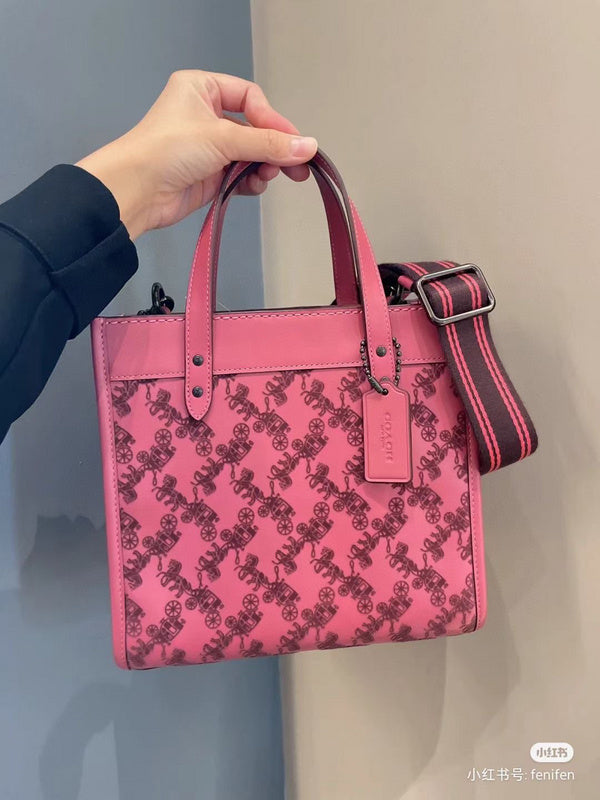 MC-Coach-047
