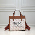 MC-Coach-048