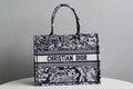 MC-Christian Dior-527