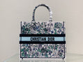 MC-Christian Dior-596
