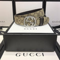 MC-Mens Belts-209