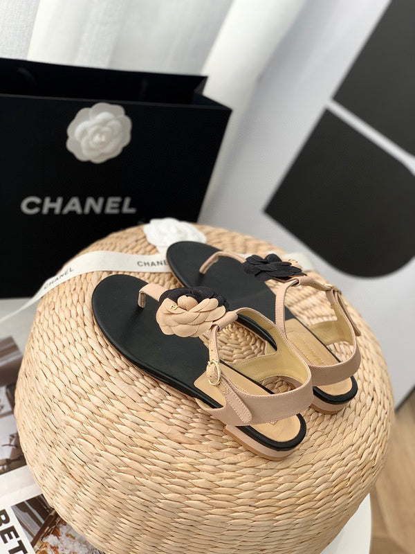 MC-Women Shoes-953