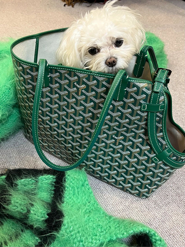 MC-Goyard-269