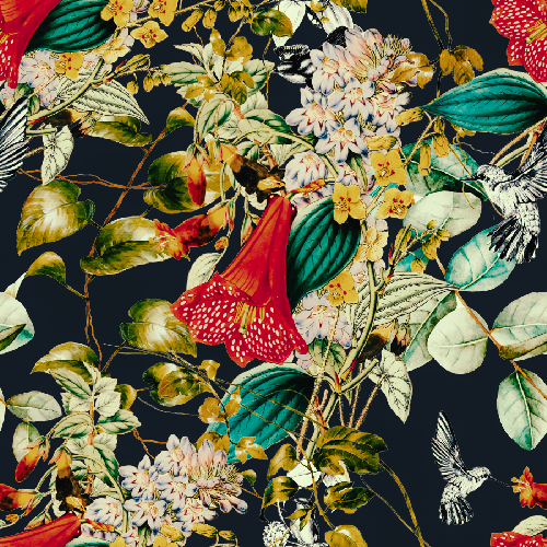 Z.B - Hummingbird In Flowering