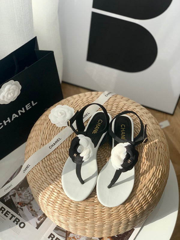 MC-Women Shoes-1050