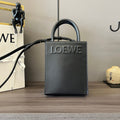 MC-Loewe-224