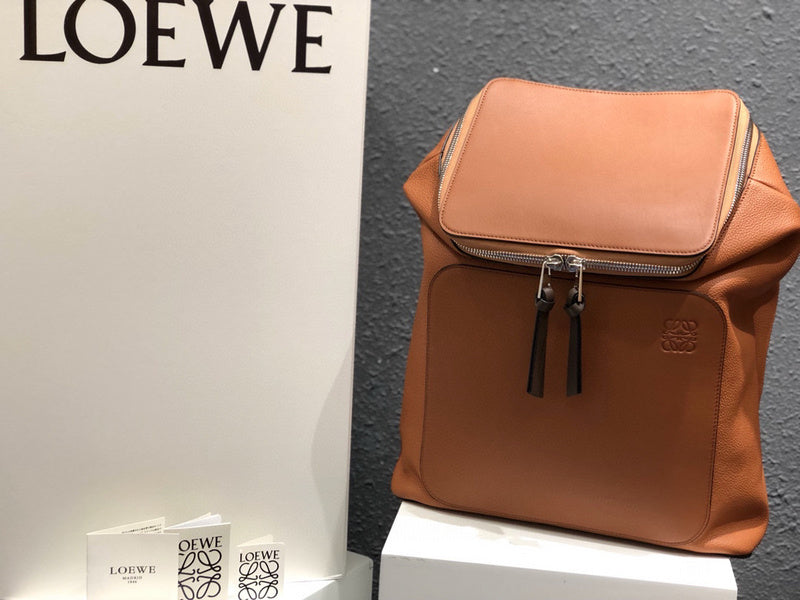 MC-Loewe-236