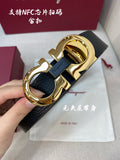 MC-Mens Belts-312