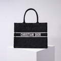 MC-Christian Dior-971