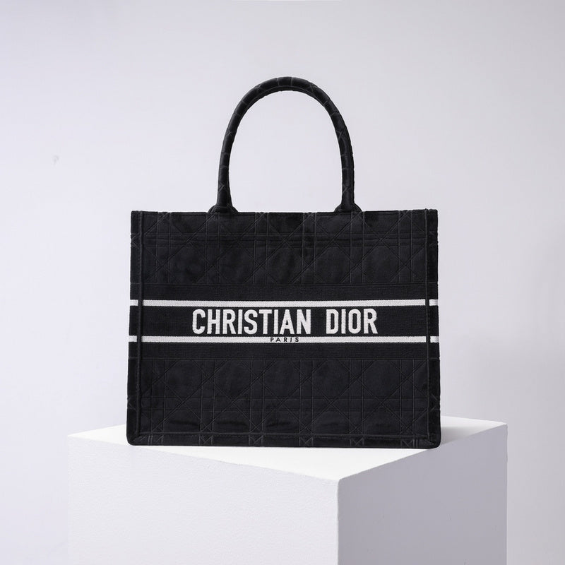 MC-Christian Dior-971