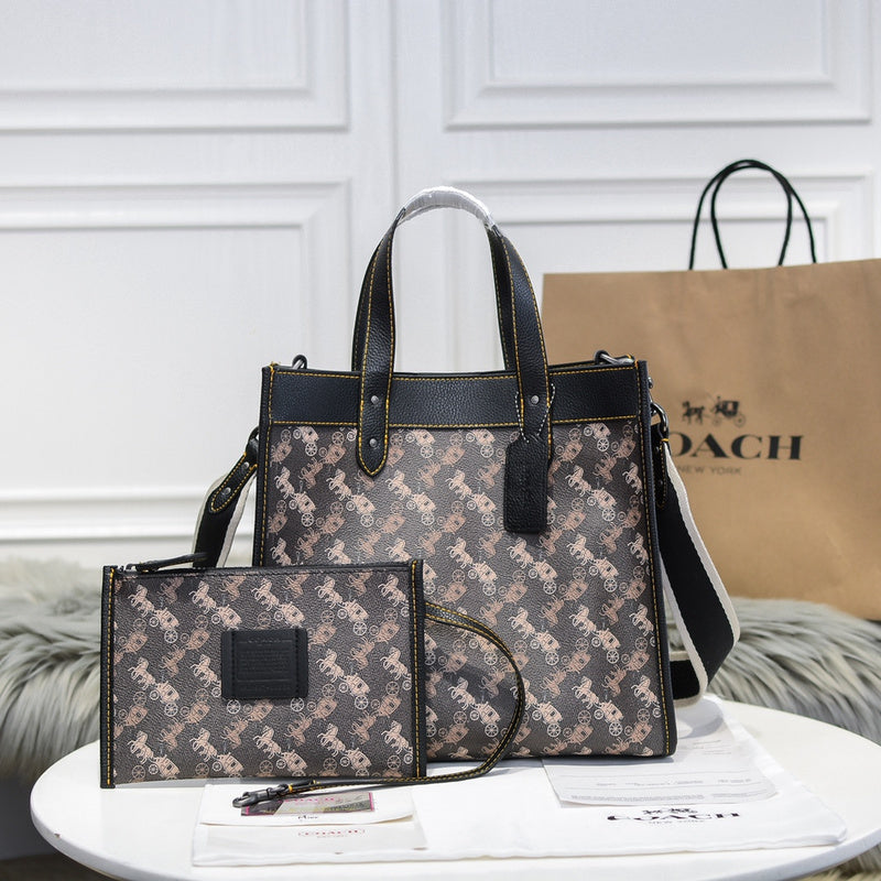 MC-Coach-086