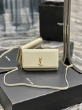 MC-YSL-Bags-986