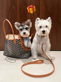 MC-Goyard-406