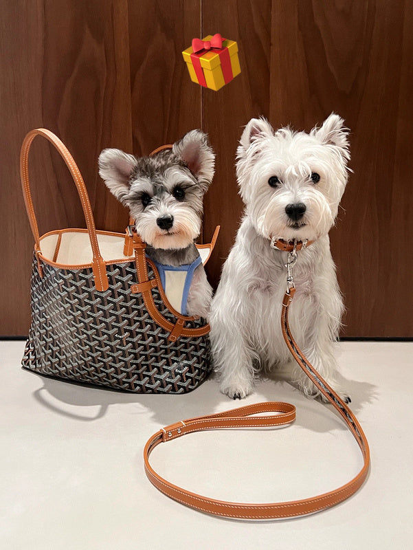 MC-Goyard-406