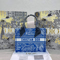 MC-Christian Dior-1174