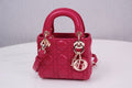 MC-Christian Dior-1193