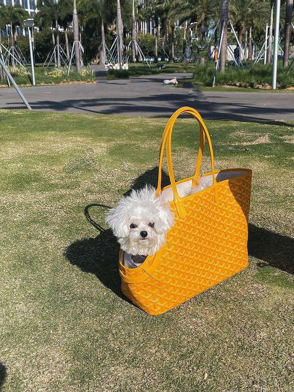 MC-Goyard-522