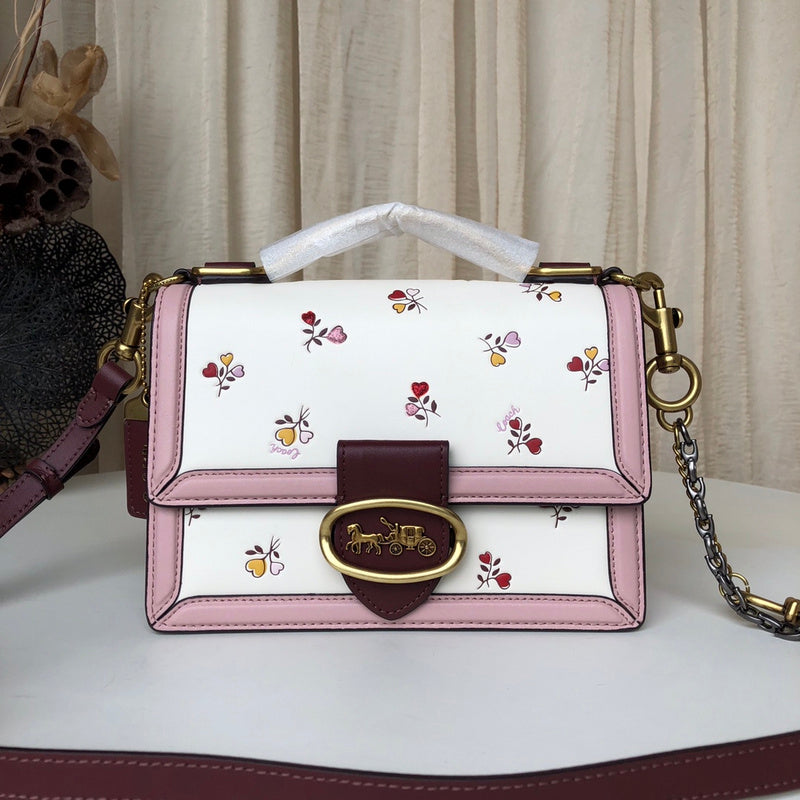 MC-Coach-132