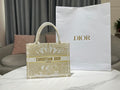 MC-Christian Dior-1524