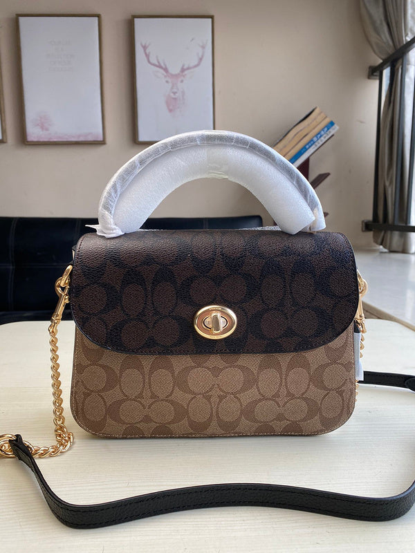 MC-Coach-151
