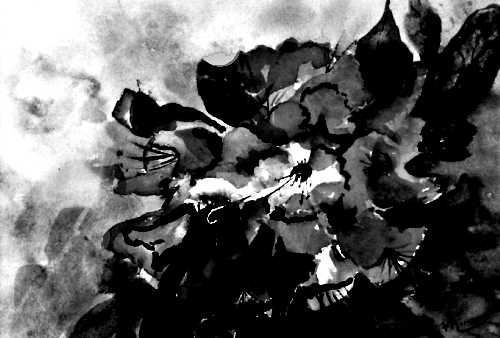 Z.B - B&W AZALEA