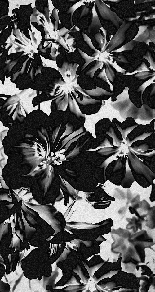 Z.B - Fleurs in Black