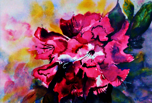 Z.B - PINK AZALEA