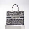 MC-Christian Dior-2117