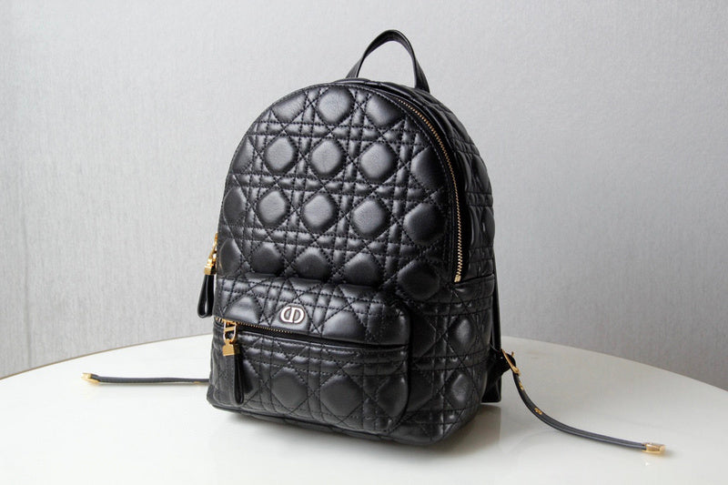 MC-Christian Dior-2176