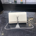 MC-YSL-Bags-2044