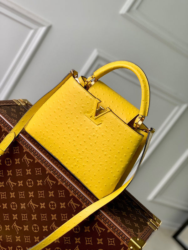 MC-LV-Bags-2455
