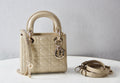 MC-Christian Dior-2278