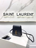 MC-YSL-Bags-2179