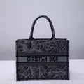 MC-Christian Dior-2417