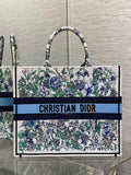 MC-Christian Dior-2419