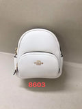 MC-Coach-209