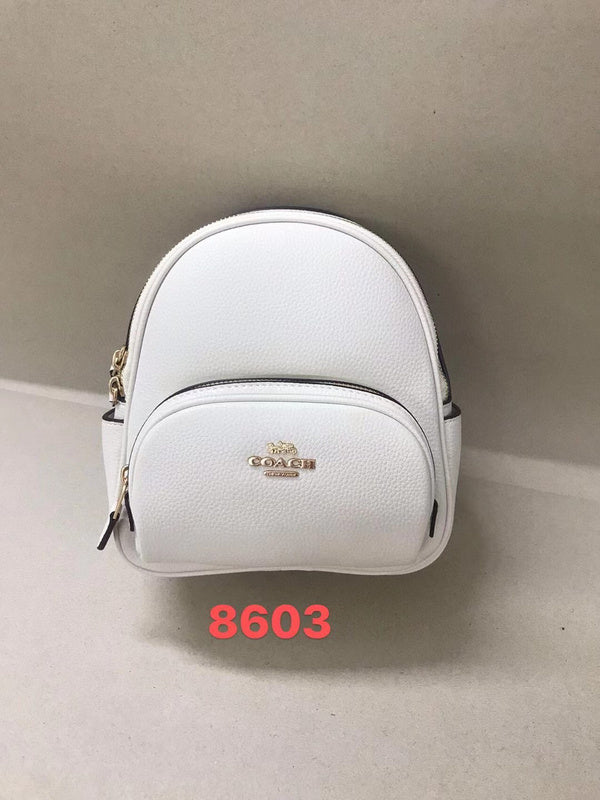 MC-Coach-209