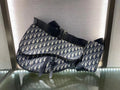 MC-Christian Dior-2466