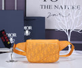 MC-Christian Dior-2485