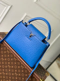 MC-LV-Bags-2761