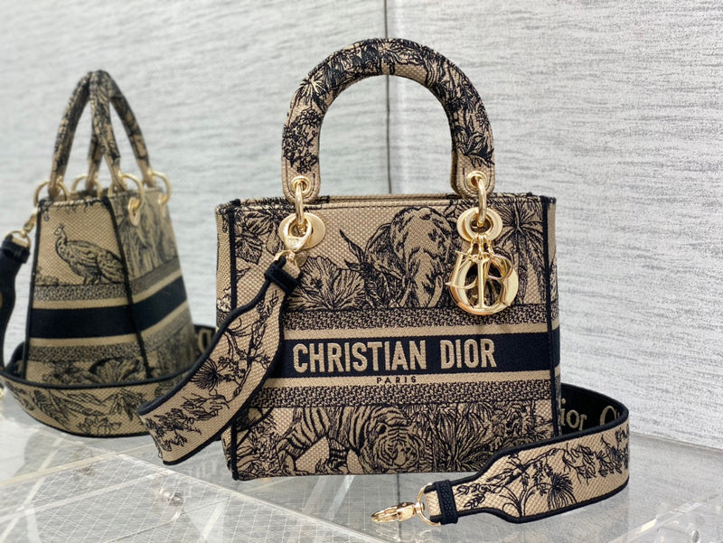 MC-Christian Dior-2571